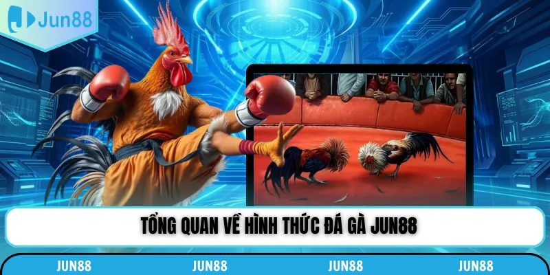 Tổng quan về hình thức đá gà Jun88
